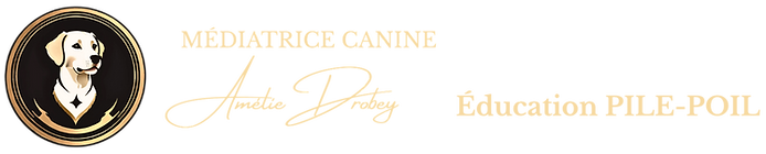 EPPADMC (5).png