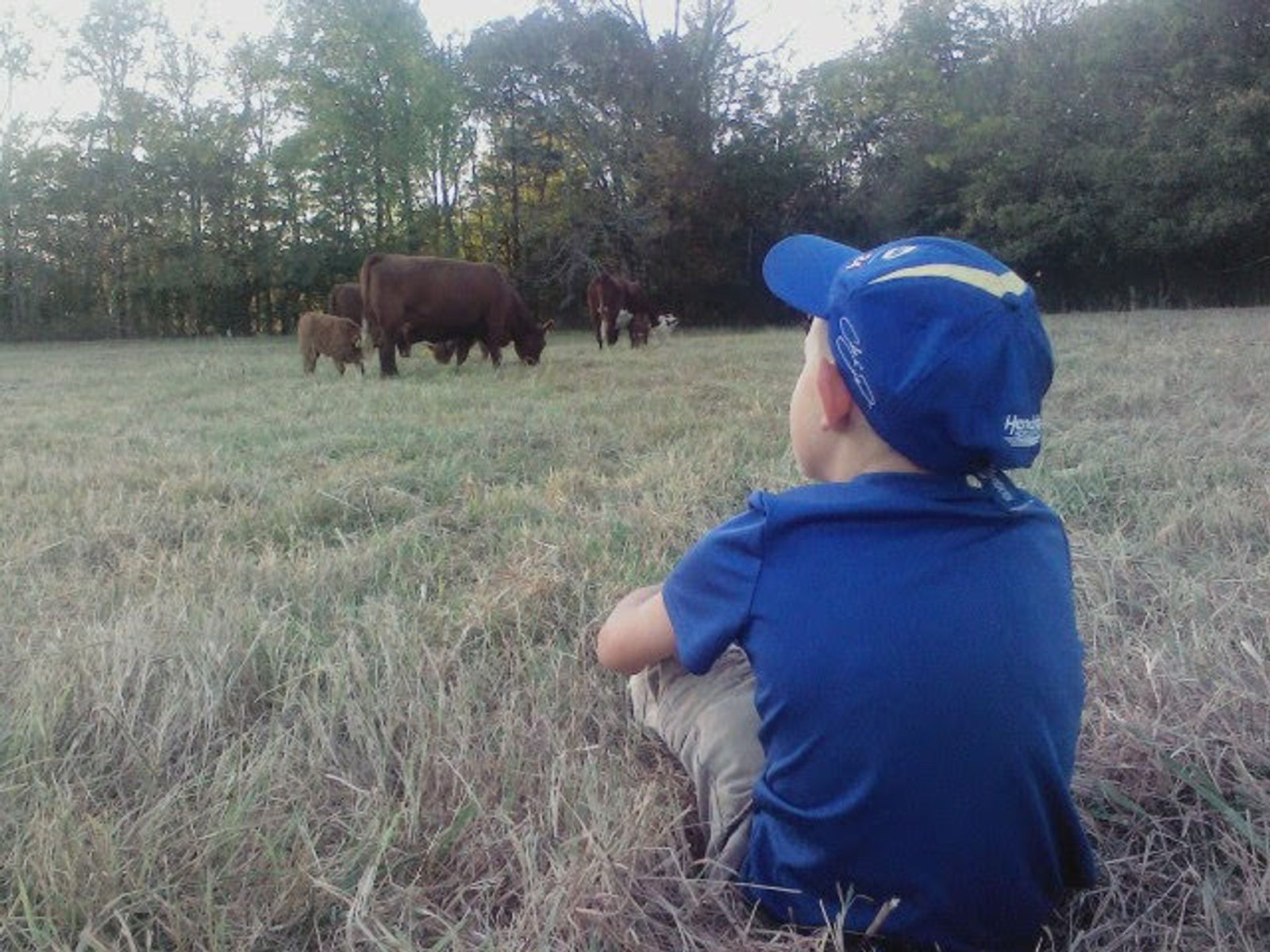 Rocky Glade Farm photo 8