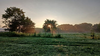 family morning sun on farm.jpg