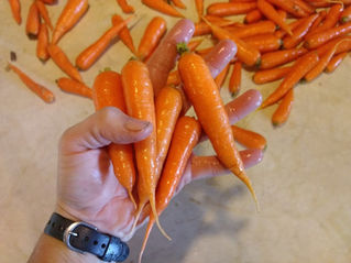 December 2025--where has this year gone?