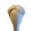 Thumbnail: Swan Lake