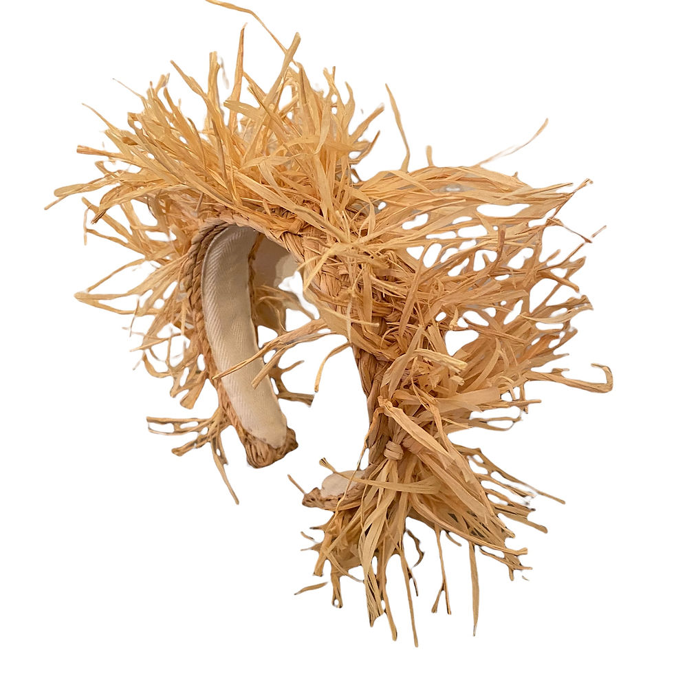 Thumbnail: Full Raffia headband