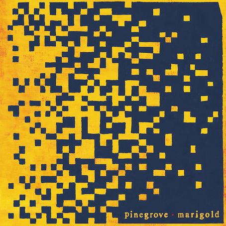 Pinegrove: introspektivni povratak