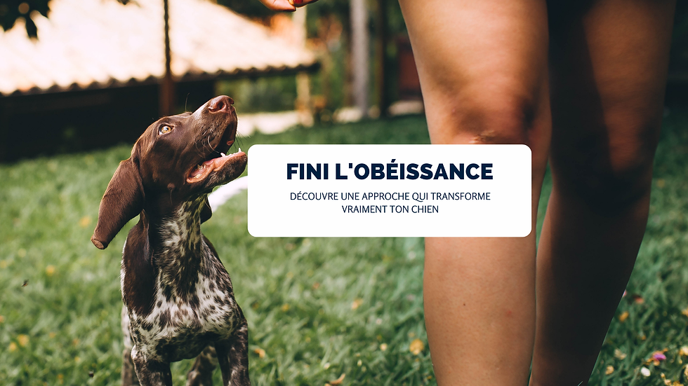 WIX - Fini l'obéissance (1).png