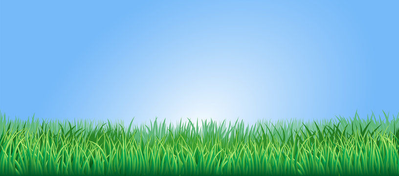 Managing Pollen Allergies