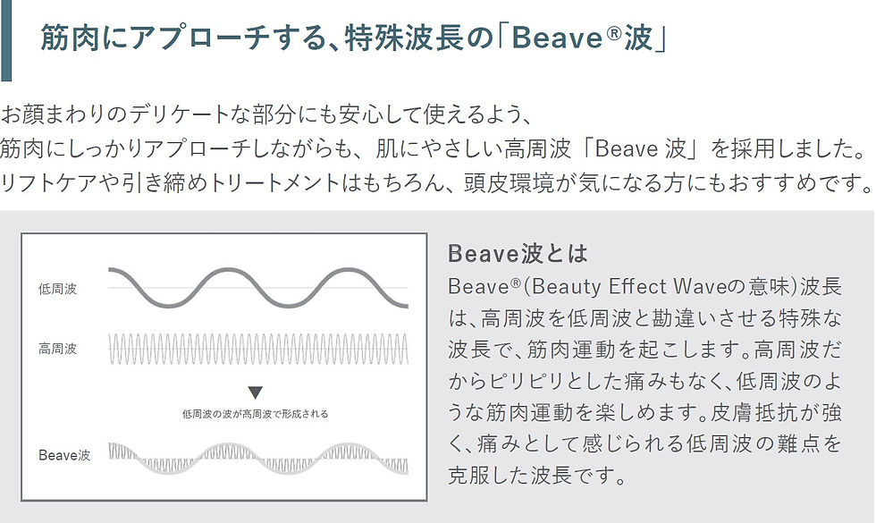 サムネイル： AiMY BEE BRUSH(エイミービーブラシュ）AIM-130