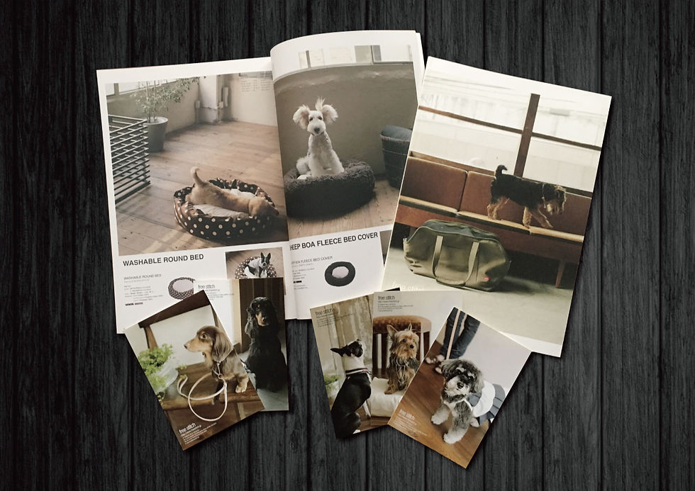 dog-goods-store