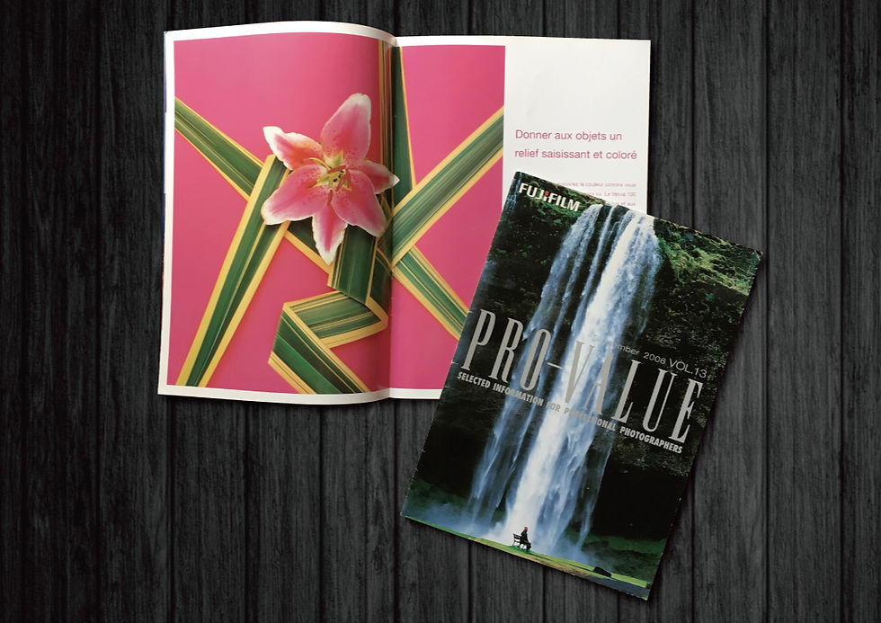 ff_Catalog