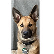 Nuka - 03.04.2023.jpg