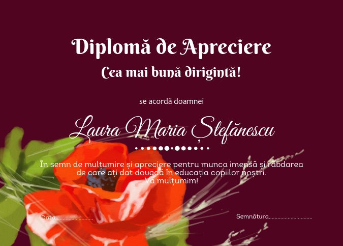 Doamnei Diriginte Sau Doamnei Diriginta Doamnei Diriginte Sau Doamnei Diriginta