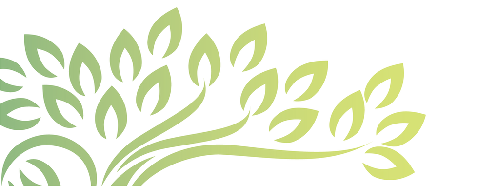 Righetti SRL_dorso.png