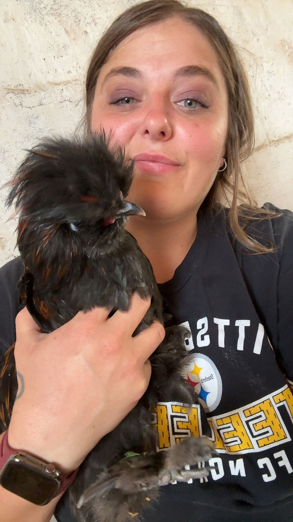 Thumbnail: Satin (Fun Pen) Silkie Hatching Eggs – Full Dozen + Extras ❤︎ SHIPPED