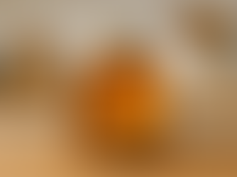 How Organic Honey Supports Immunity and Daily Wellness