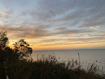 IMG_5234.jpeg