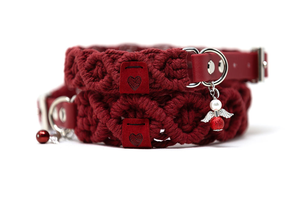 Miniaturbild: Halsband 'Theodor' | Creme-Rosé