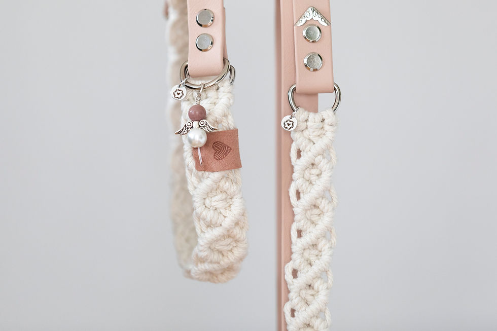 Miniaturbild: SET Halsband & Leine 'Theodor'