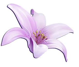 lt purp lily.png