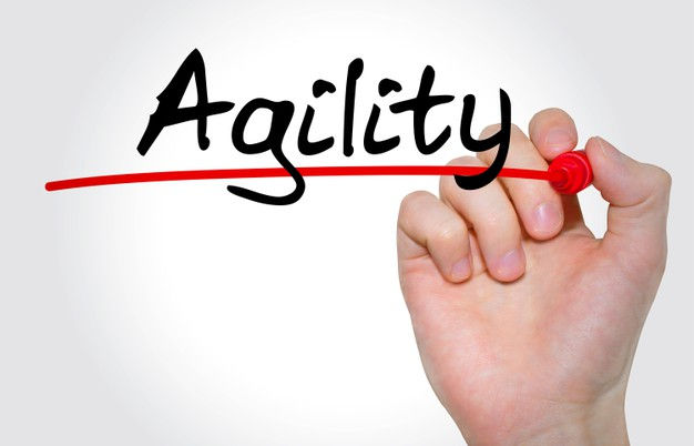 ¿Qué tipos de Metodologías Ágiles existen?