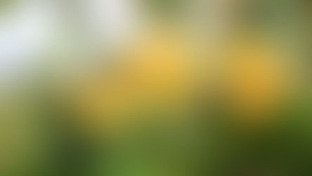 The Coffee Price and Moving