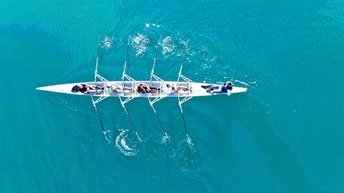 a team of rowers