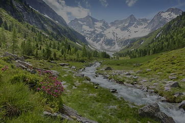 alpine%20hike_edited.jpg