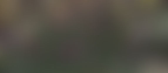 It’s time to tidy up – but not too much