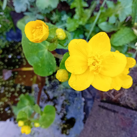 20240330_082126.jpg