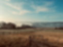 IMG_2556.jpeg