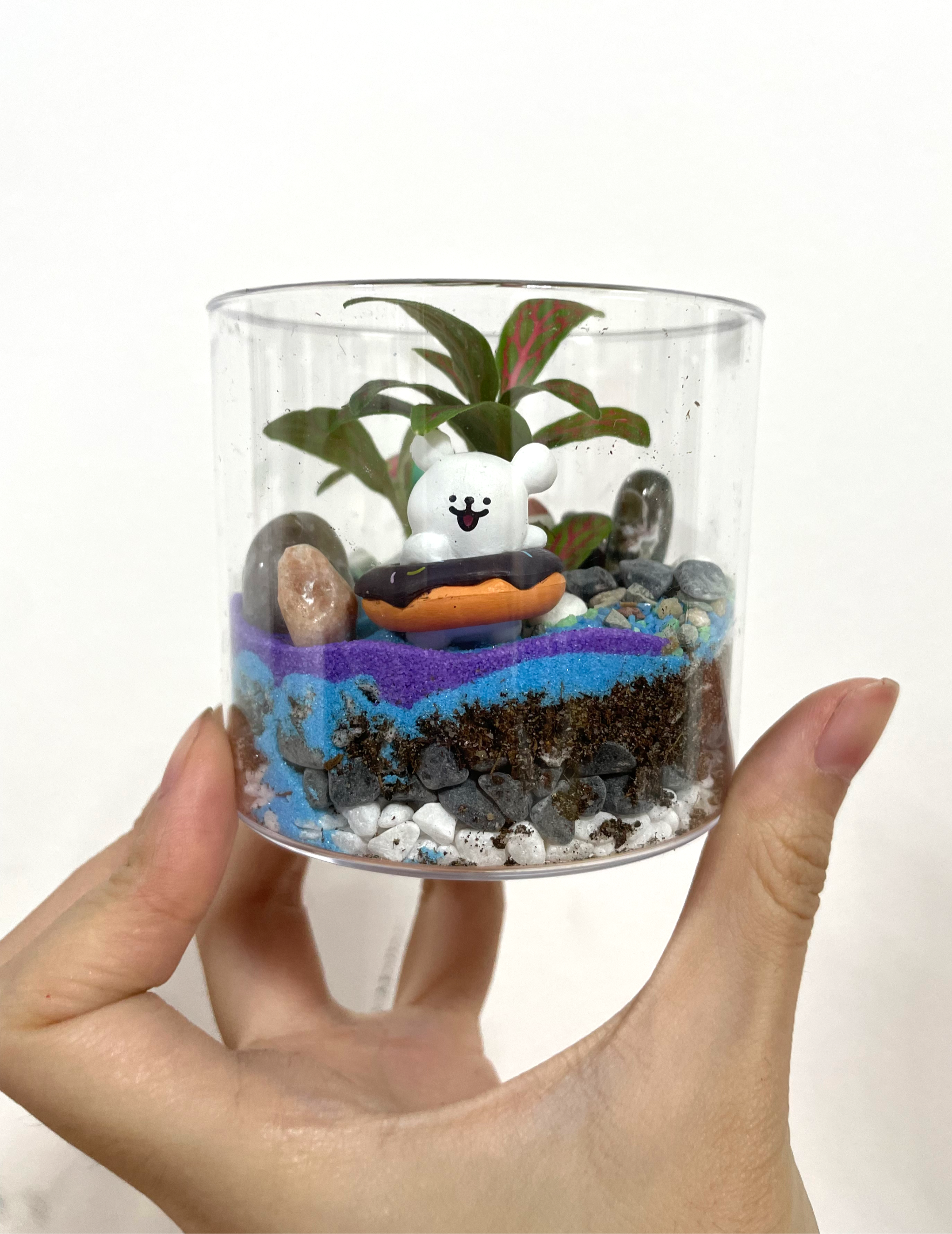Terrarium Making
