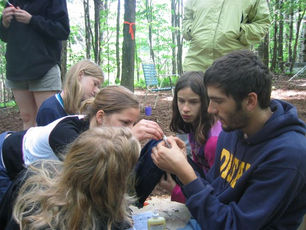 A Vision for Camp DREAM