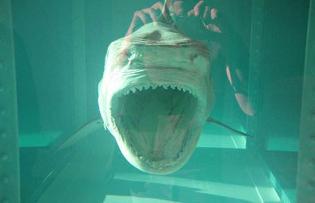 Web Data Shark! Crack   Keygen For (LifeTime) [Win/Mac] (Final 2022)
