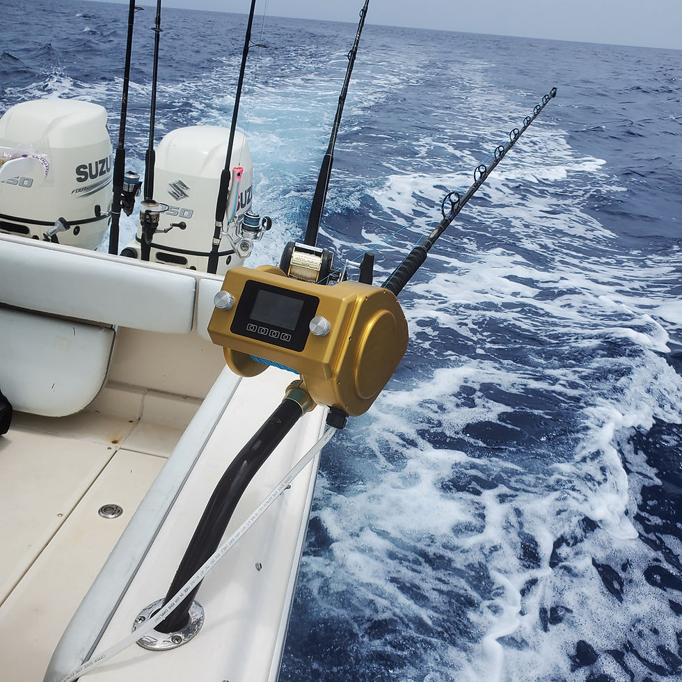 Thumbnail: Reel Electric R1