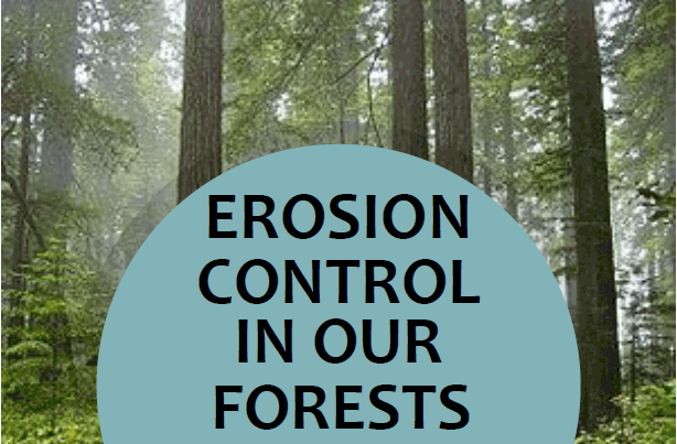 Erosion Control In Our Forests