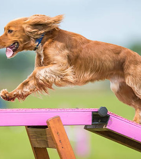 istockphoto-696549754-612x612.jpg