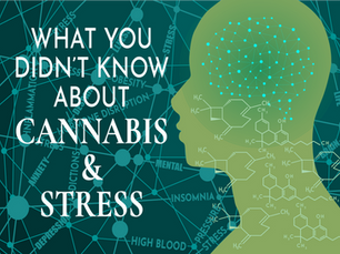 Learn the Truth About CBD and Stress