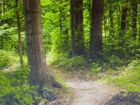 A walk with the Lord