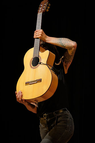 derriere guitare Trelissca.JPG