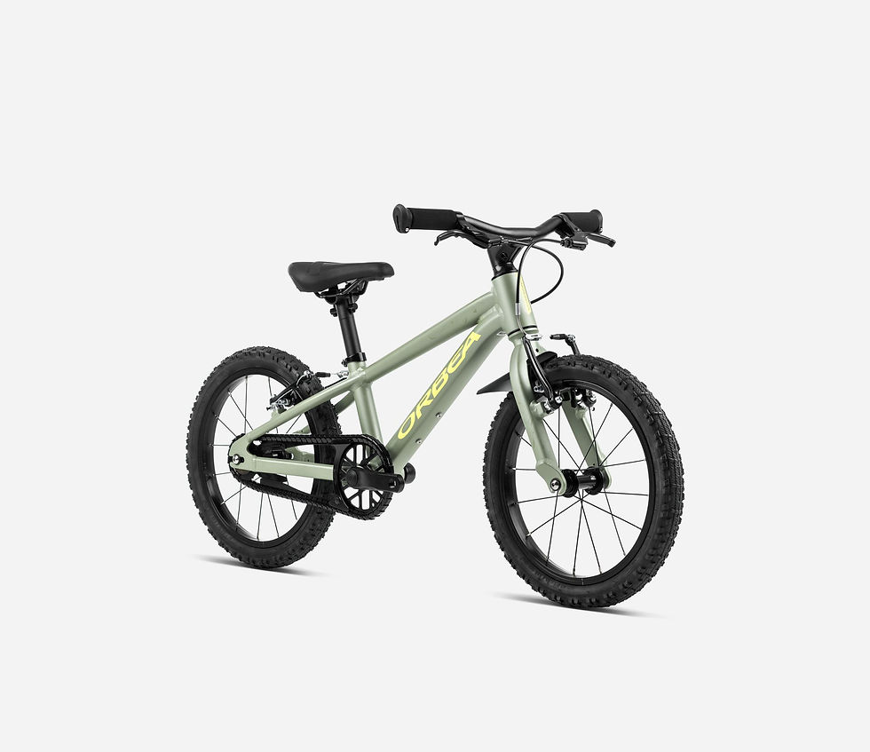Miniature : Orbea MX16