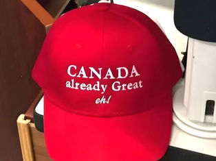 ACTUAL NEWS: Weekly Recap 🇨🇦 Edition