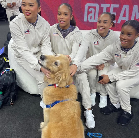 Meet Beacon, a four-year-old Golden Retriever who is playing a crucial role as a therapy dog at the Paris 2024 Olympics