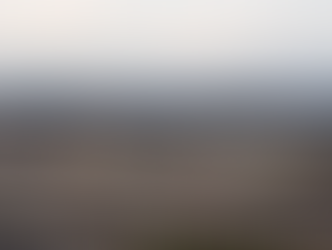 Pentagon Halts Key Weapons Shipments to Ukraine