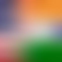 U.S.–India Reach Interim Trade Framework, Resetting the Terms of Economic Alignment