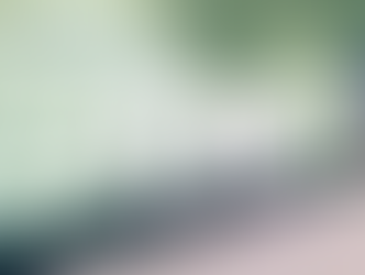 Democratic Senators at COP29 Express Concern Over Climate Setbacks Under Trump’s Second Term