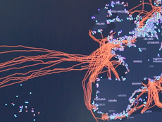 The ACTUAL NEWS: Friday, January 31st 2025 Recap