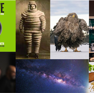 Sunday Edition | October 26, 2025 | Choices