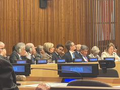 Seventy Years On: Sixteen Nations Reflect on the Future of the United Nations at ECOSOC