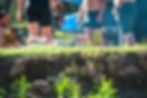 Blurred people standing outdoors on grass. Foreground shows vibrant green plants growing on an eroded soil edge.