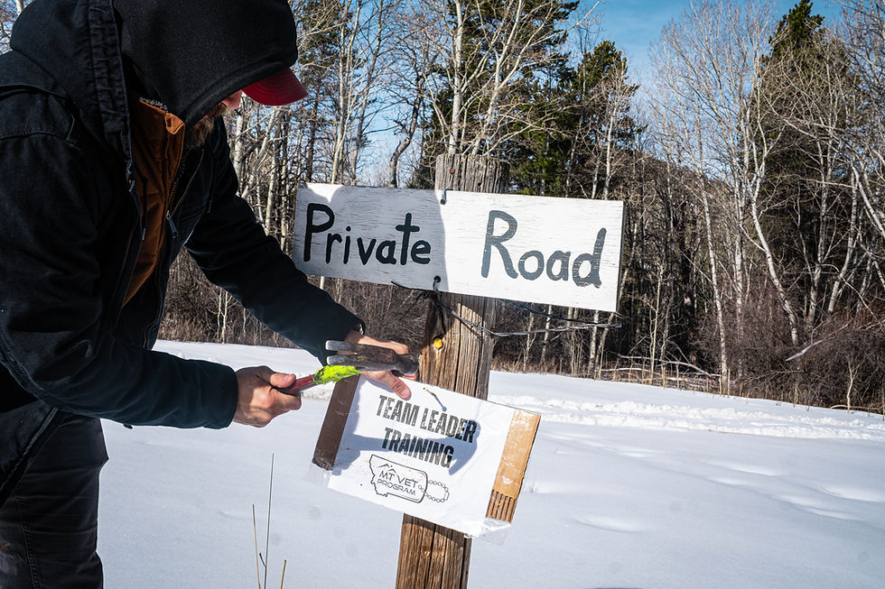 Person in a black jacket nails a "TEAM LEADER TRAINING" sign to a "Private Road" post in a snowy forest setting.