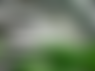 Danish Seasony raises € 1.5 million to bring Watney robot to vertical farms