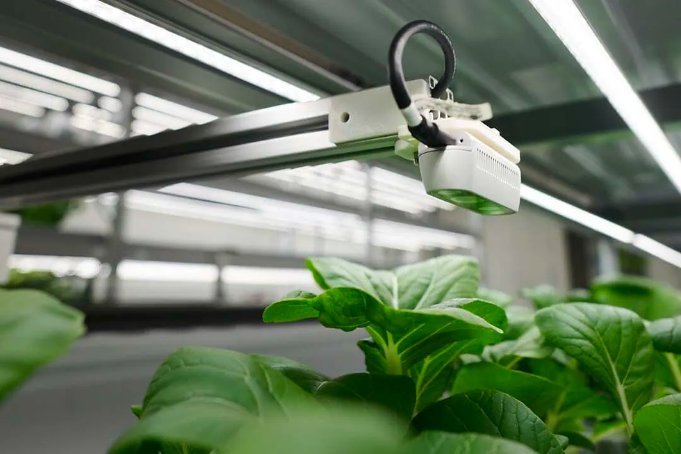 Watney is a fully autonomous mobile robot that automates core processes in vertical farming to reduce labor costs and increase yields.